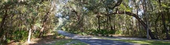 Building Photo - 3/2 fenced in yard & access to amenities!!