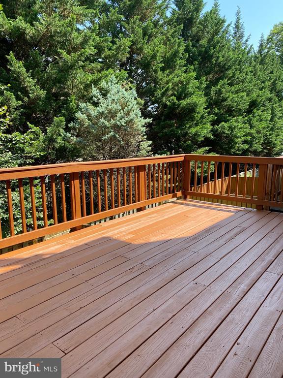Building Photo - 4863 Benecia Ln