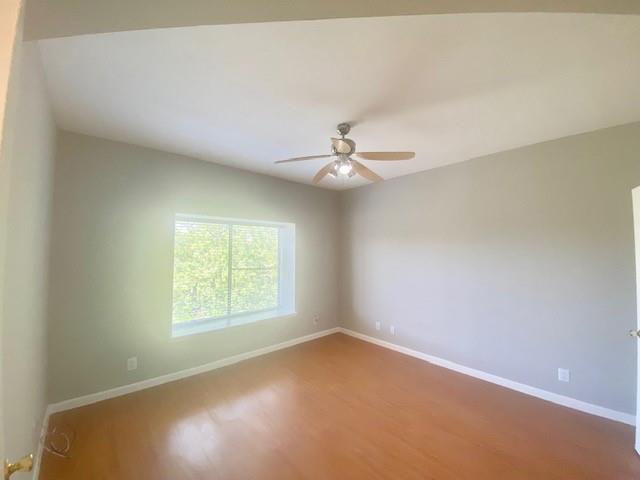 Building Photo - 2209 S Braeswood Blvd