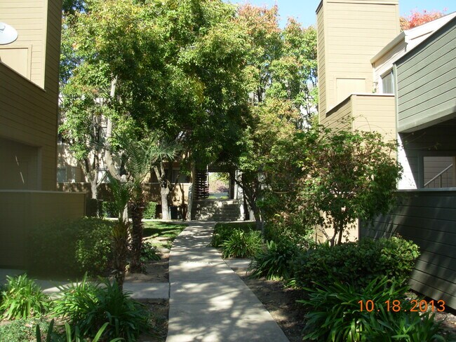Building Photo - 1019 Dornajo Way