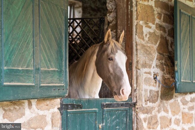 Building Photo - 1021 Greenspring Vly Rd