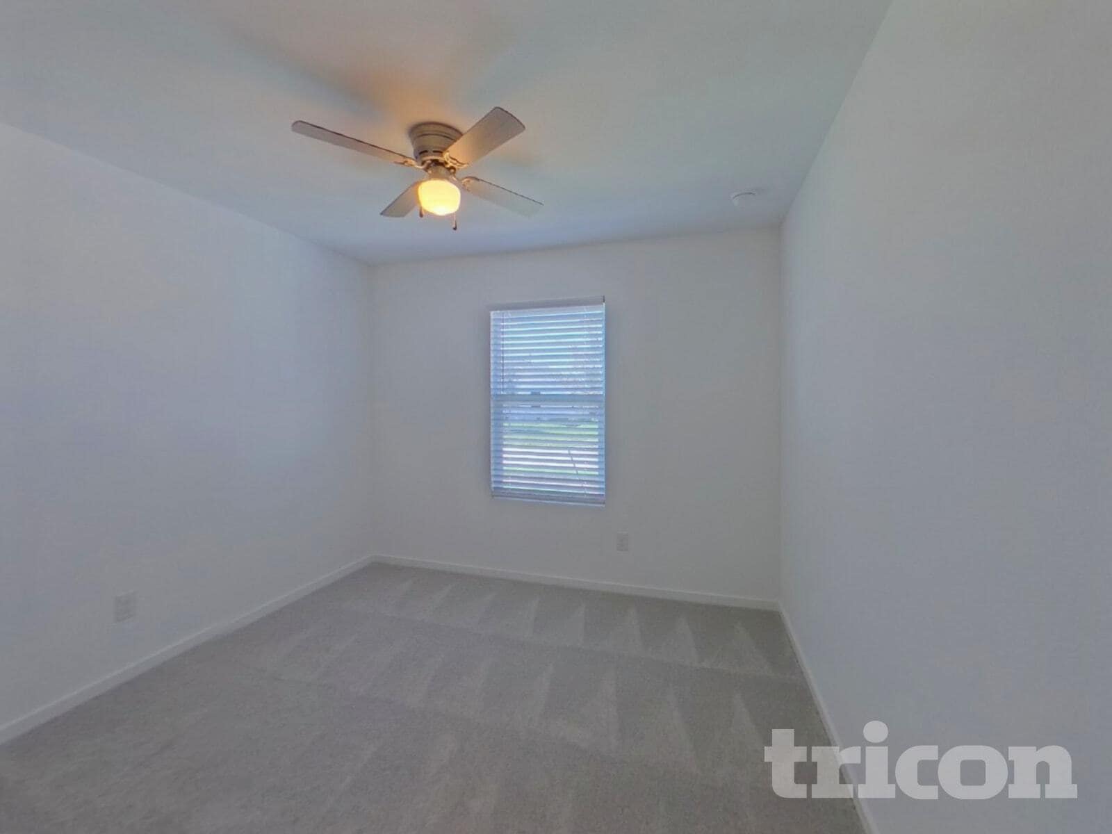 Building Photo - 1636 Baugh St