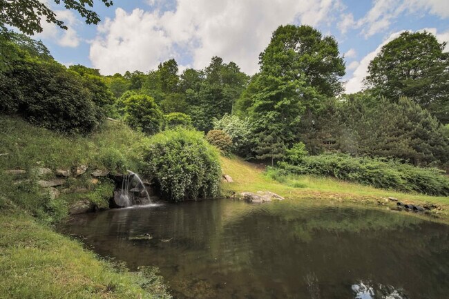 Building Photo - 195 Black Bear Dr