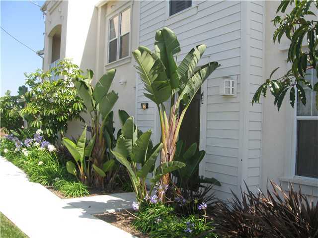 Building Photo - 855 Harbor Cliff Way