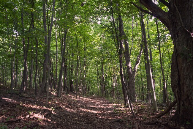 Wooded Trails - 195 Calkins Rd