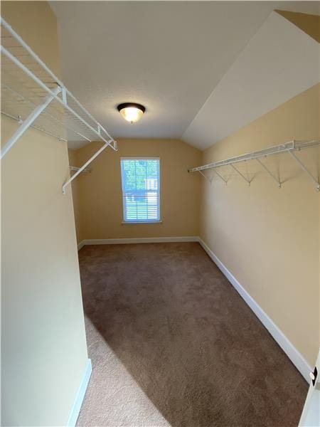 Building Photo - 120 Iron Horse Spur