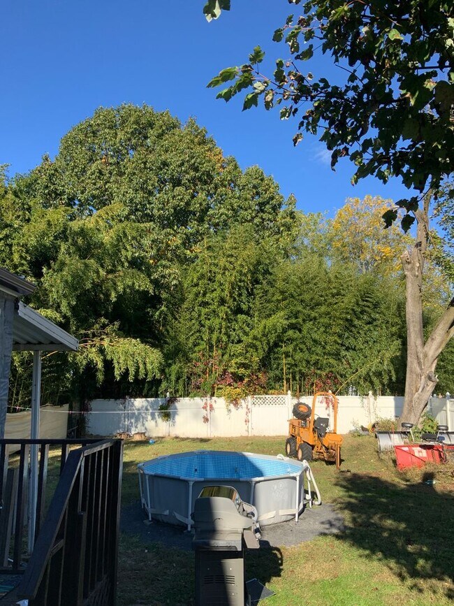 Building Photo - Move in Ready