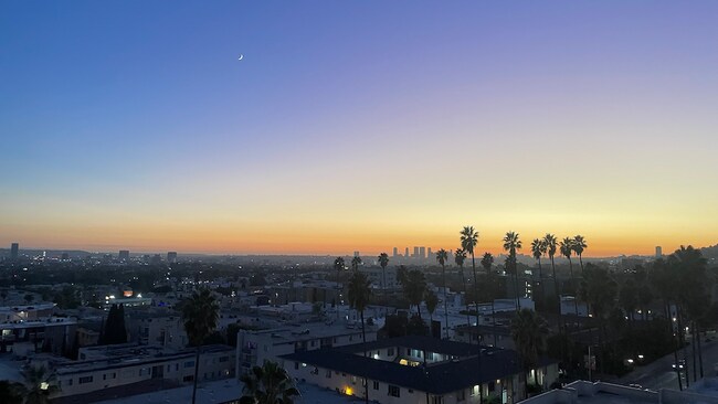 Building Photo - 7135 Hollywood Blvd