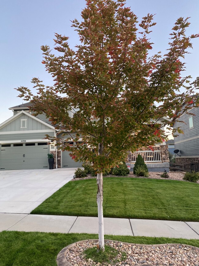 Building Photo - 26906 E Davies Pl