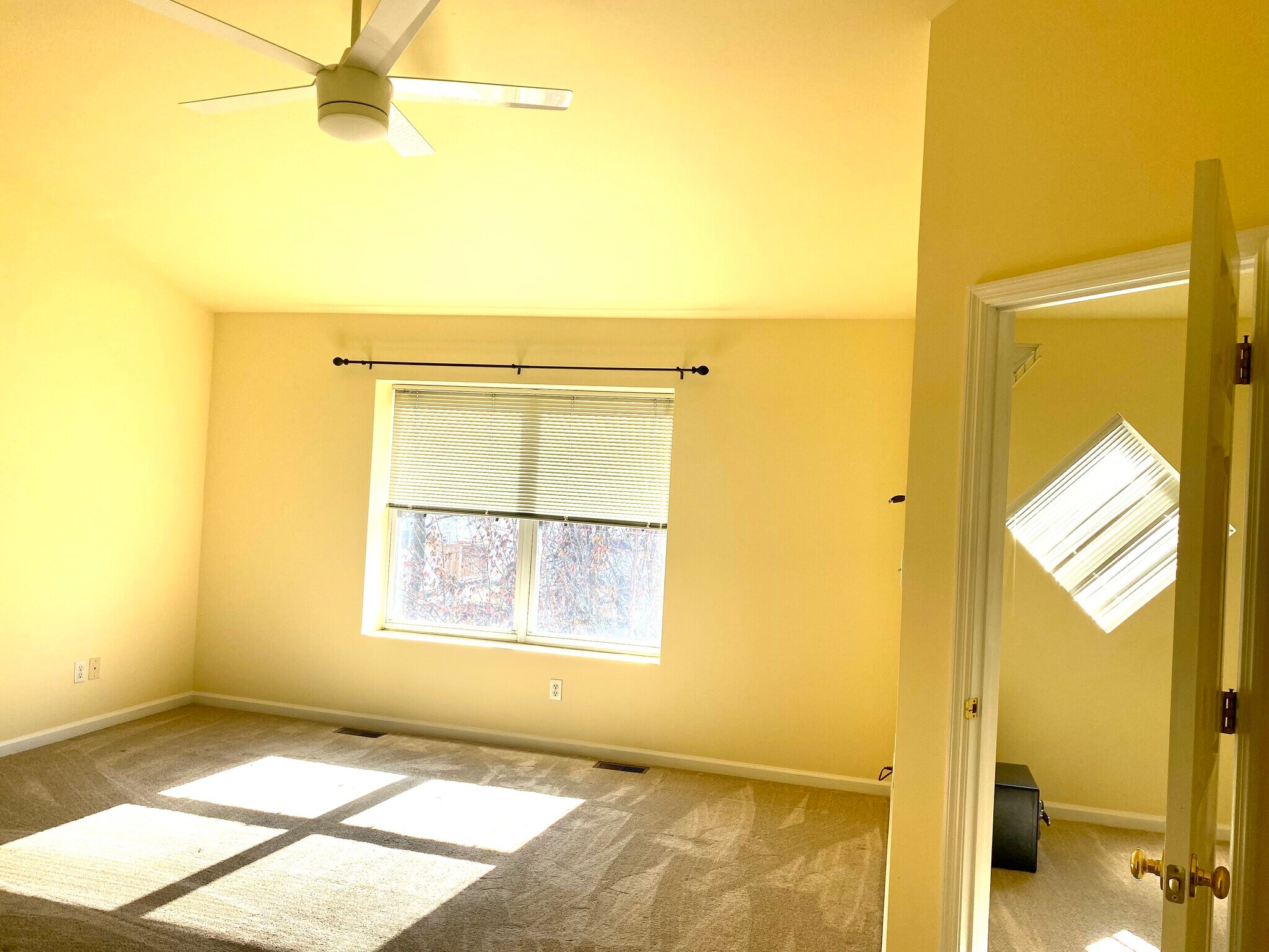 Building Photo - 5785 Kingsbury Pl