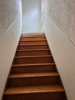 Building Photo - 1203 Edward St