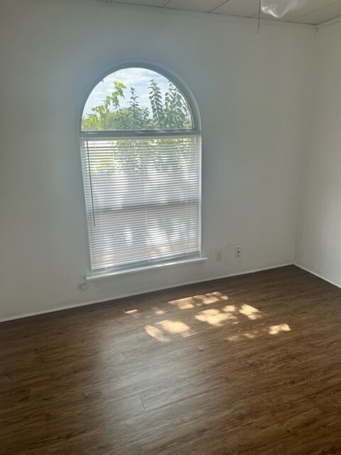 Building Photo - 1509 Elyse Dr