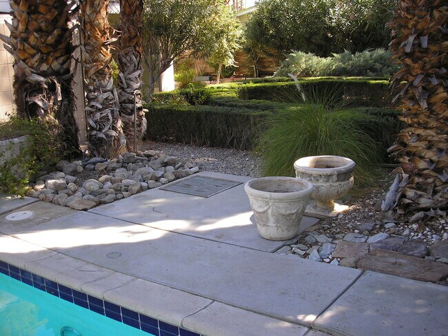 Pool area - 835 N Rose Ave