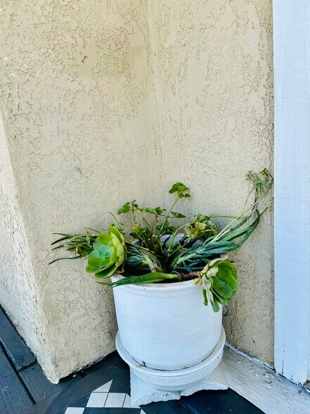 Building Photo - 6005 Hill Dale Ct