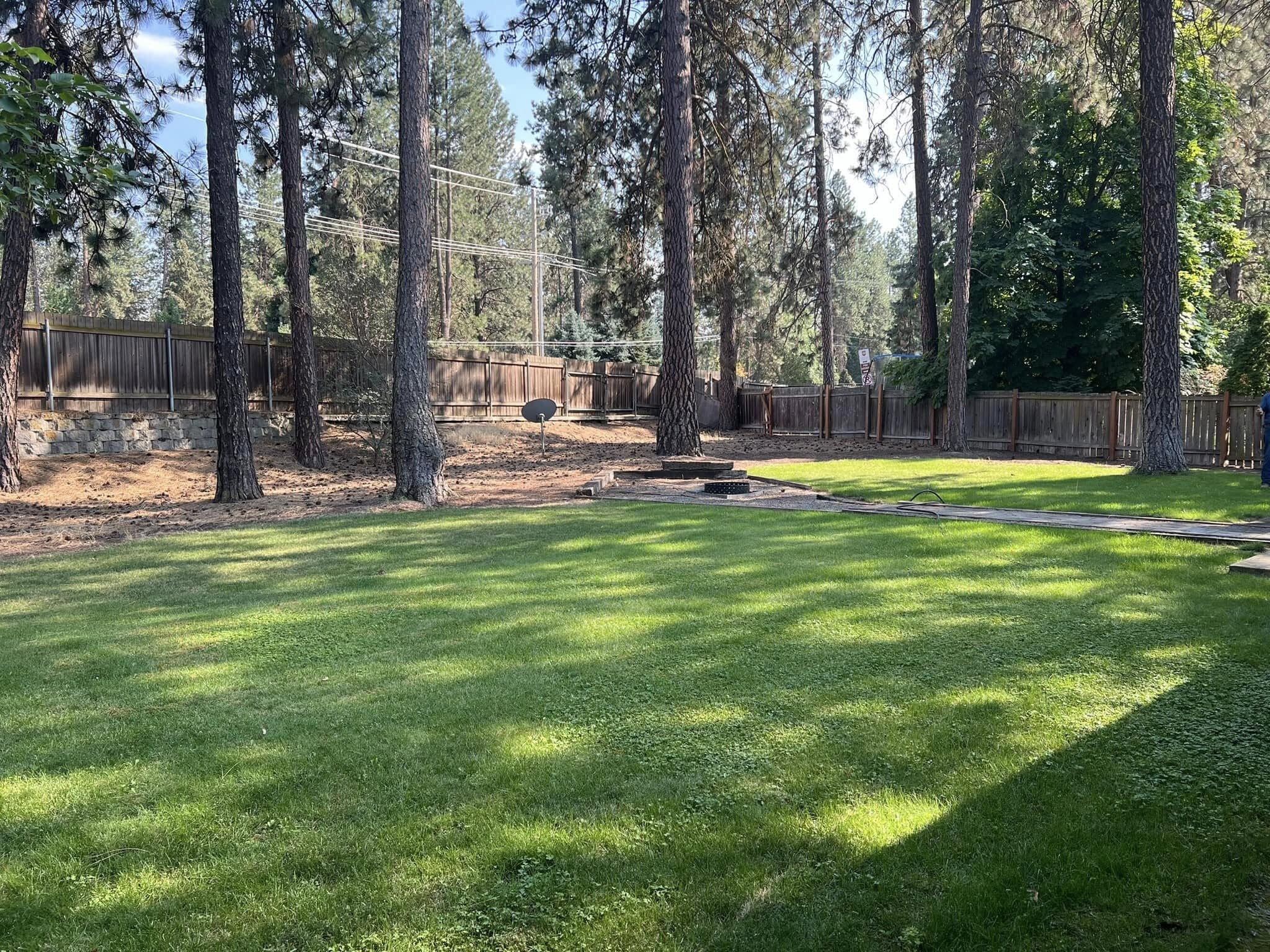 Rear yard - 1223 W Bellwood Dr