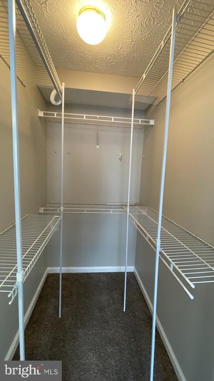 Building Photo - 4915 Riders Ct