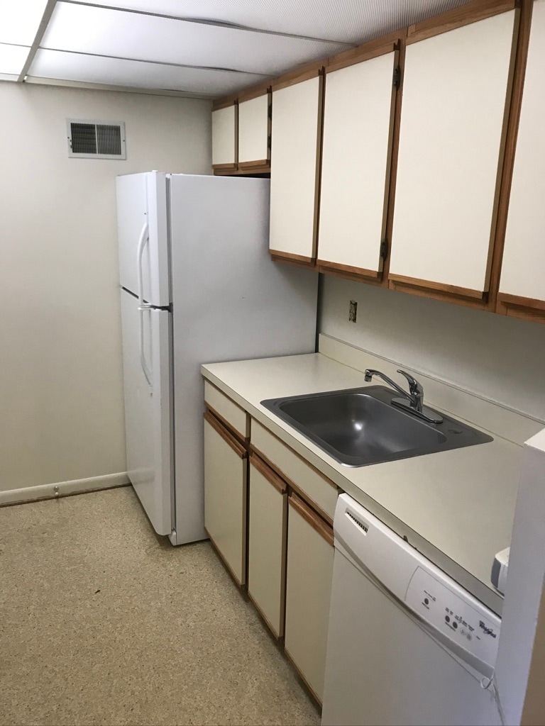 Kitchen Sink/Refrigerator - 138 Green Turtle Ln