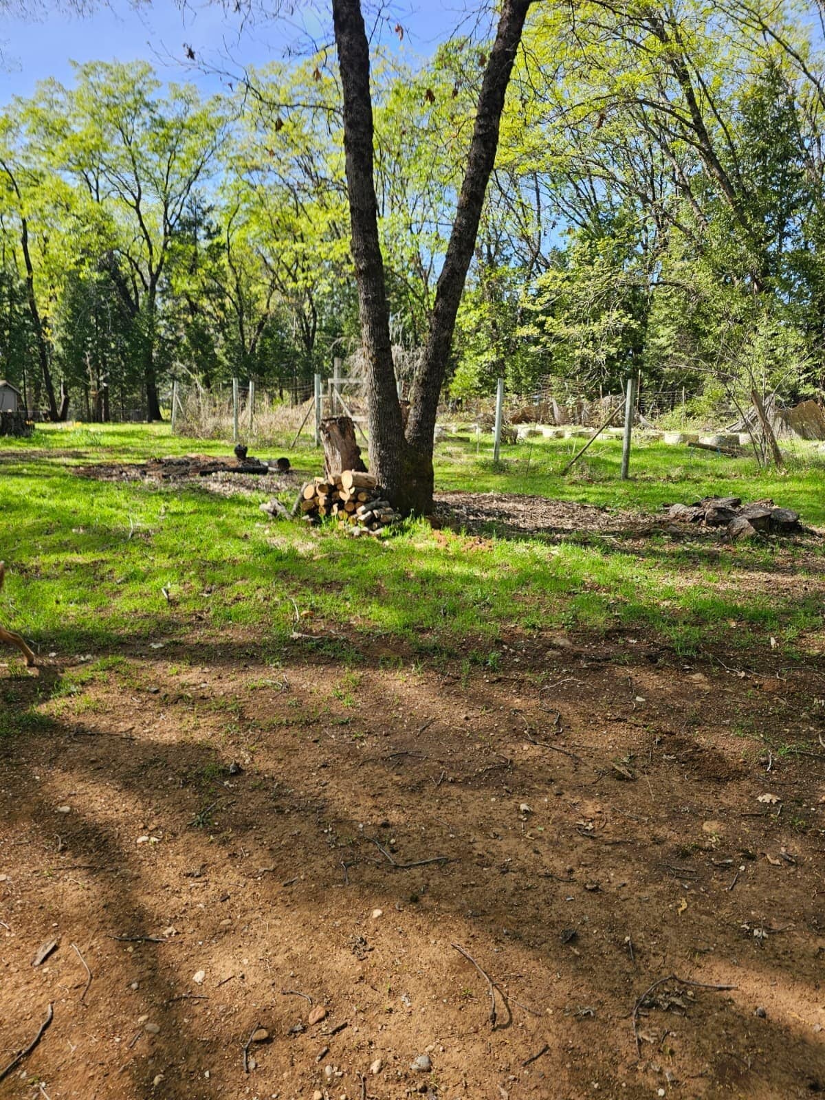 Building Photo - 11321 Beauview Rd