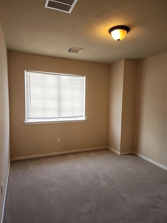 Building Photo - 4910 Steel Meadows Ln