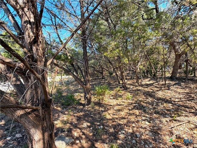 Building Photo - 1219 Songbird Dr