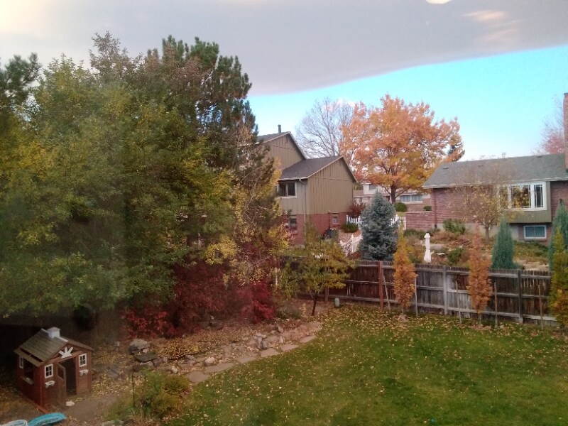 Building Photo - 13721 Telluride Dr