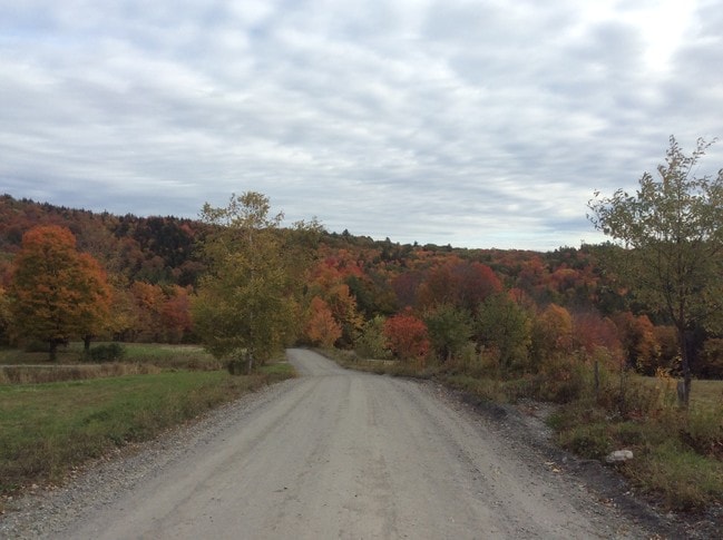 Building Photo - 618 Shearer Hill Rd