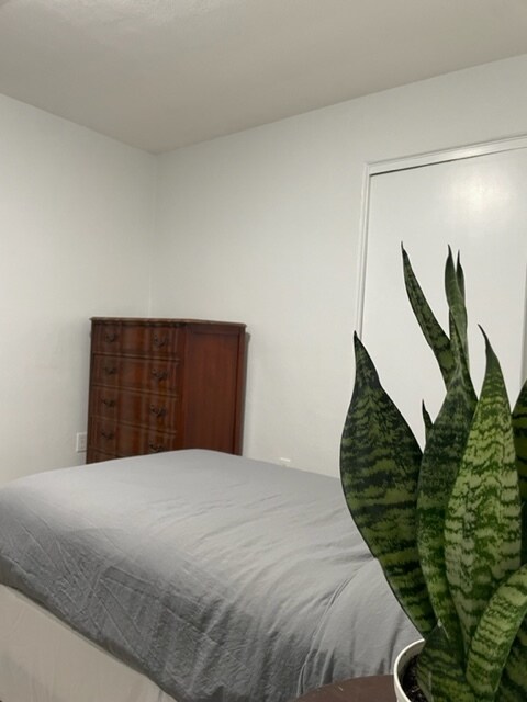 Building Photo - 453 Dolphin St