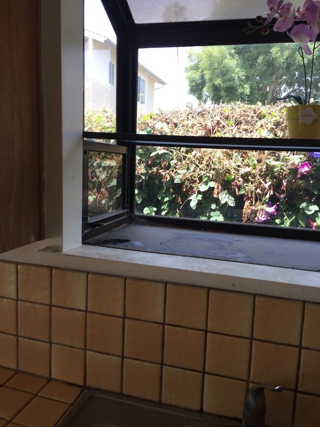 Building Photo - 6835 Trigo Rd