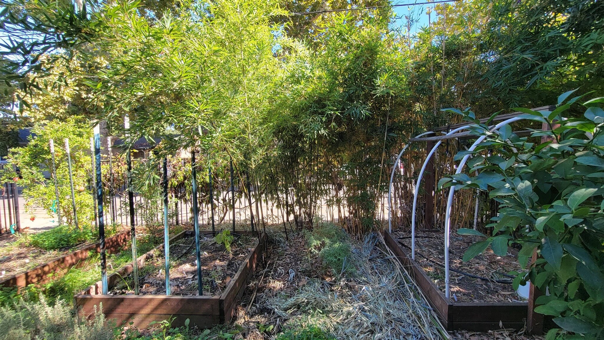 Building Photo - 3116 San Carlos Way