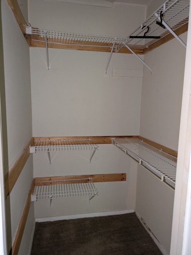 Master walk-in closet - 137 Thimbleberry Rd