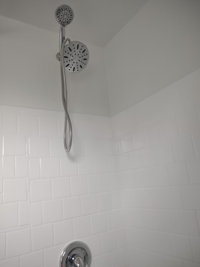 Double shower head - 1929 E Belvedere Ave