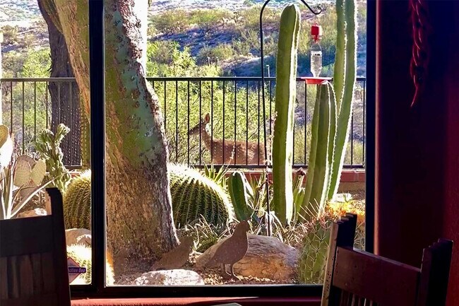 Building Photo - 1195 Camino Diestro-SI ID1385973P