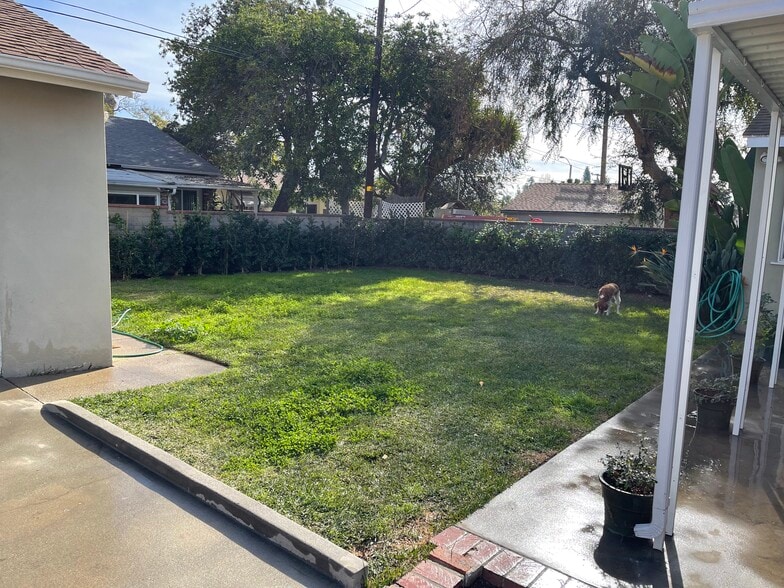 Backyard - 2060 Crestlake Ave