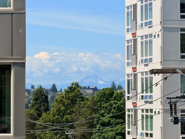 Building Photo - Modern & Spacious 3-Story Home in Seattle