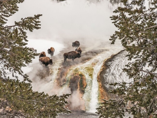 Building Photo - Modern 3-Bedroom Townhome in the Heart of ...