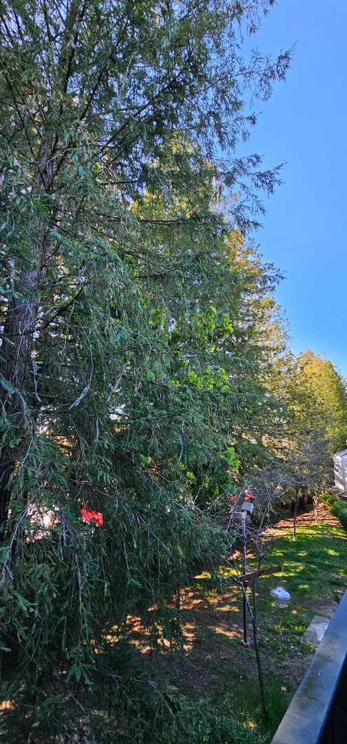 Building Photo - **Centrally Located in Santa Rosa!!**