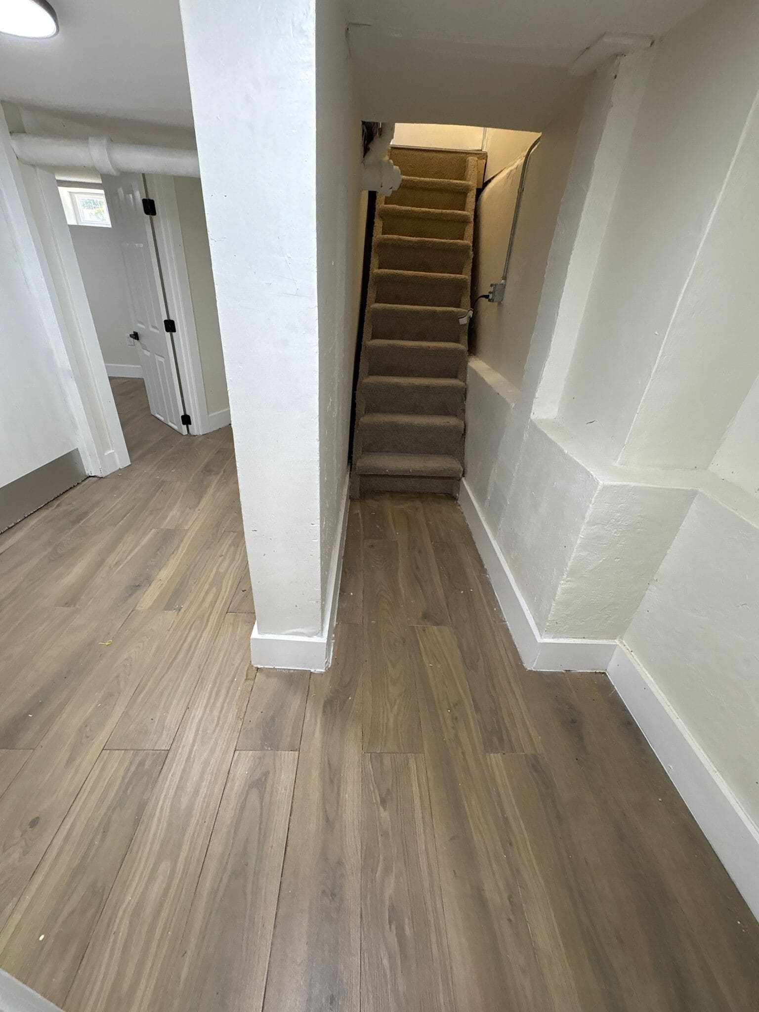 Basement - 49 Rosehill Pl