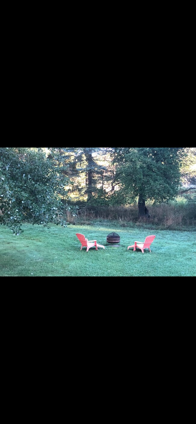 Backyard - 2978 Intertown Rd