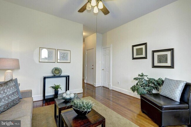 Building Photo - Spacious + Bright 1 Bedroom in Capitol Hill!