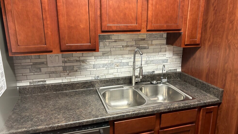 New faucet and RO drinking water system - 3825 E Camelback Rd