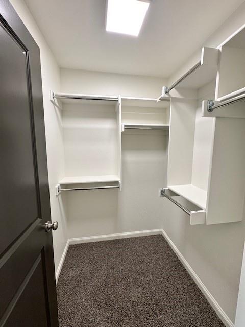 Building Photo - 3133 Mt Nebo Dr