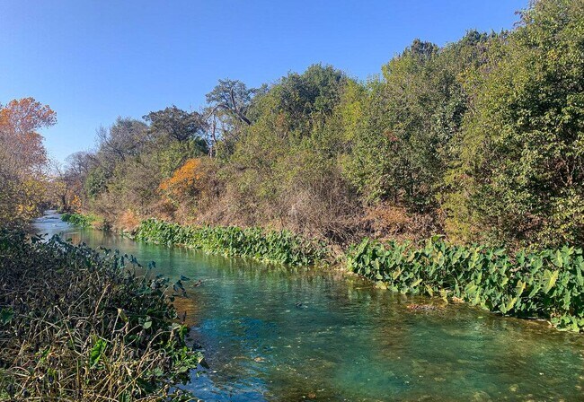 Building Photo - 2008 Creek Ledge Pl