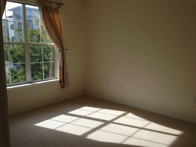Master Bedroom - 3901 Lick Mill Blvd