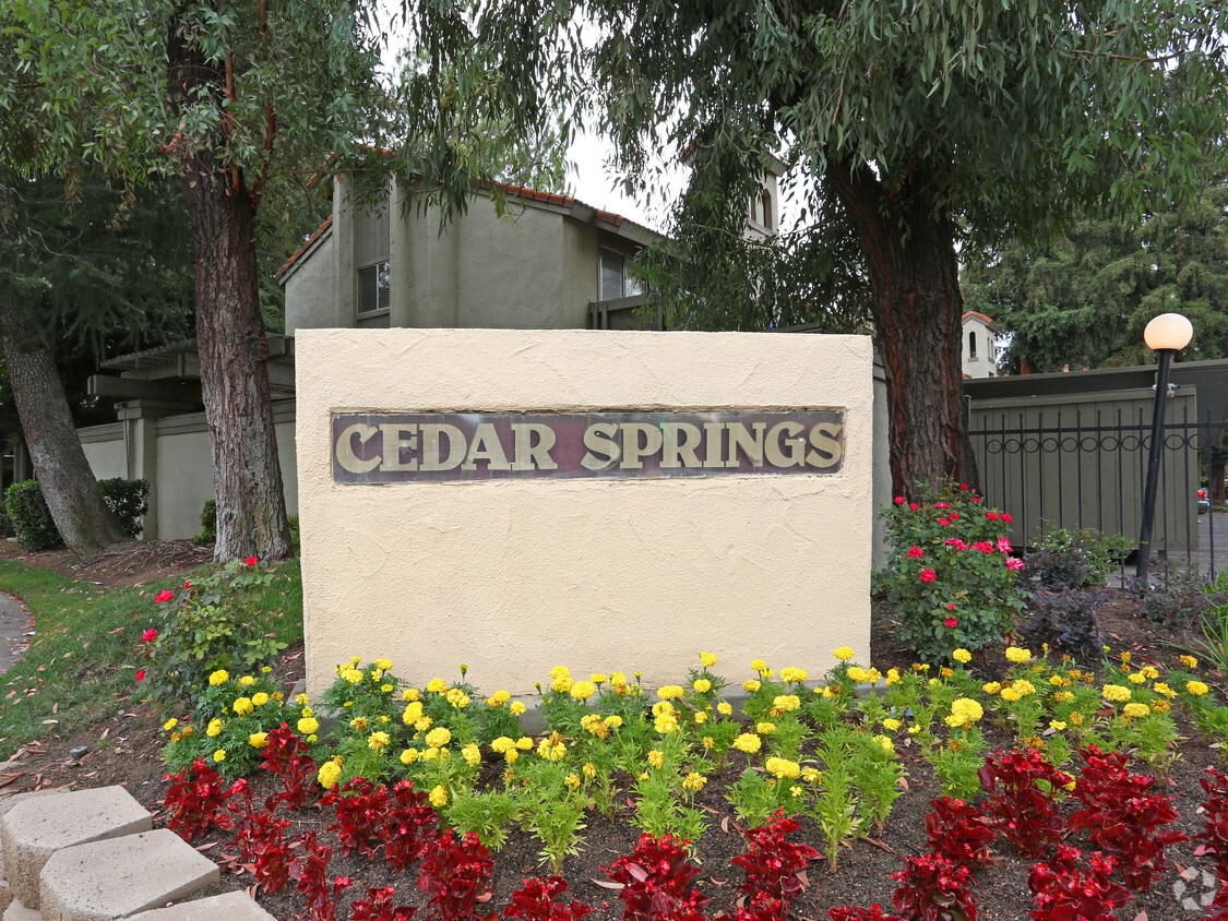 Cedar Springs Fresno