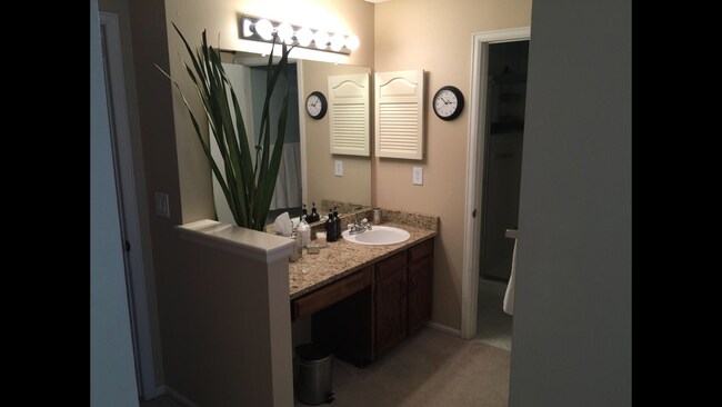 Master vanity and bathroom - 546 E Nichols Dr