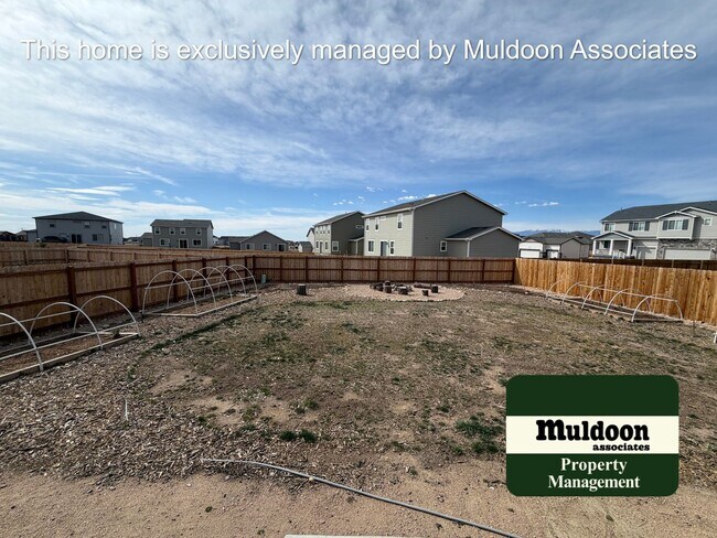 Building Photo - Basically new 2 story home in Paint Brush Hills