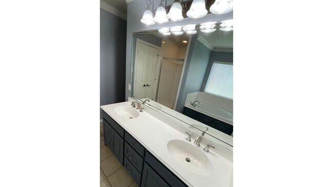 Building Photo - 3815 Sumner Ct