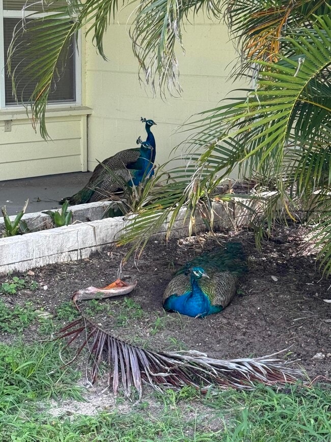 Building Photo - 1401 NE Elizabeth Ave