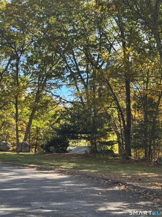 Building Photo - 87 Buff Cap Rd