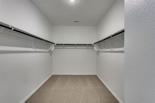 Building Photo - 513 Tidal Dr